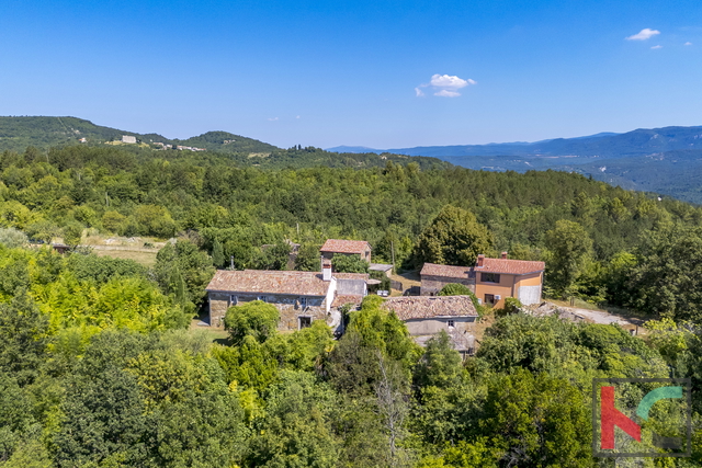 ISTRA, BOLJUN, PRODAJAMO VAS VAS NA FANTASTIČNI LOKACIJI Z LEPIM RAZGLEDOM #PRODAJA