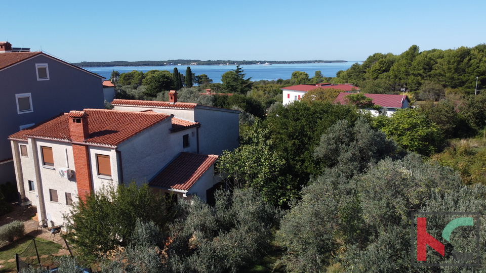 Grundst&uuml;ck&comma; 3331 m2&comma; Verkauf&comma; Fa&zcaron;ana