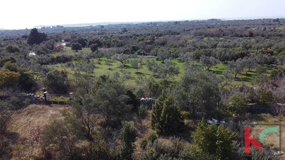 ISTRA&comma; FA&Zcaron;ANA&comma; AGRICULTURAL LAND 500 M2&comma; &num;FOR SALE