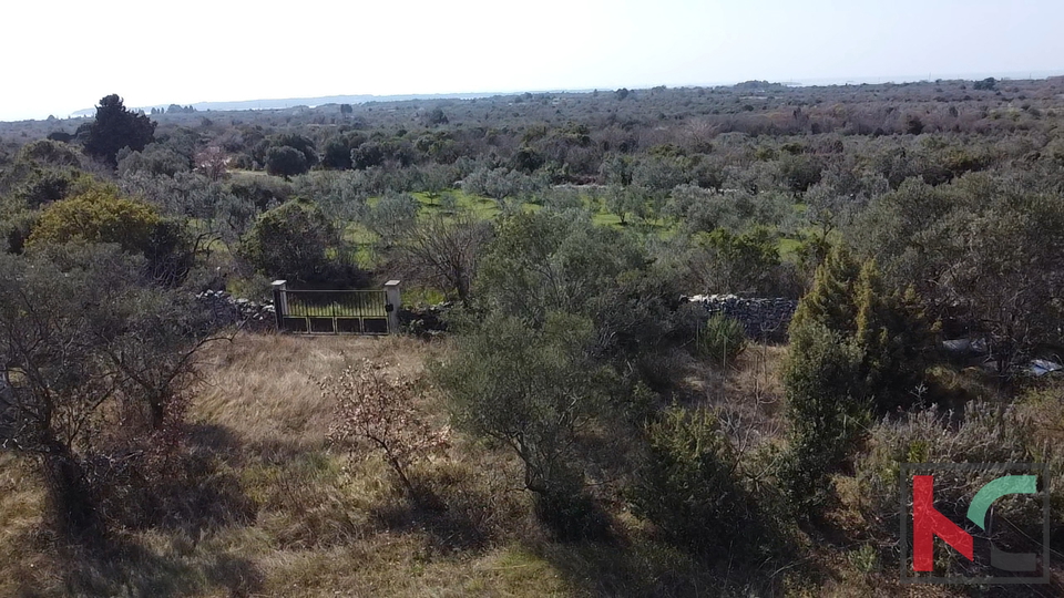 ISTRA&comma; FA&Zcaron;ANA&comma; AGRICULTURAL LAND 500 M2&comma; &num;FOR SALE