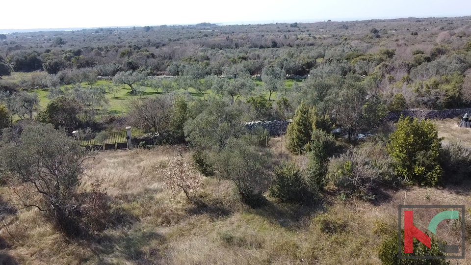 ISTRA&comma; FA&Zcaron;ANA&comma; AGRICULTURAL LAND 500 M2&comma; &num;FOR SALE
