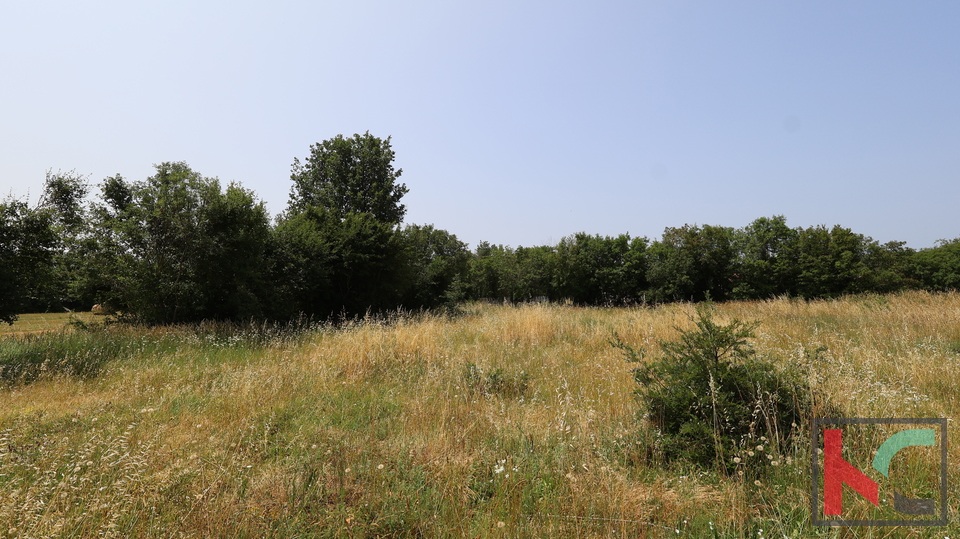 PULA, LOBORIKA, GRAĐEVINSKO ZEMLJIŠTE 907 m2 #PRODAJA