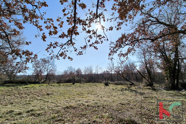 POREČ, OKOLICA, GRAĐEVINSKO ZEMLJIŠTE 1090 m2 #PRODAJA