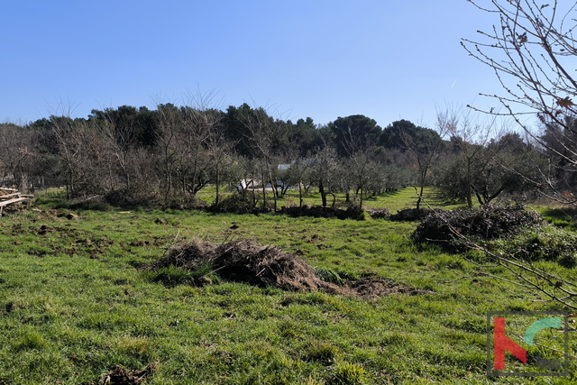 BANJOLE, ZEMLJIŠTE 597 M2 SA DOZVOLOM ZA GRADNJU #PRODAJA