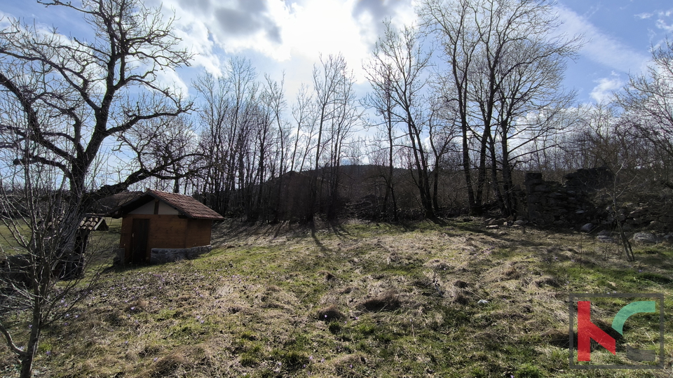 ISTRA, LANIŠĆE, RENOVIRANA KUĆA NA OBRONCIMA ĆIĆARIJE #PRODAJA