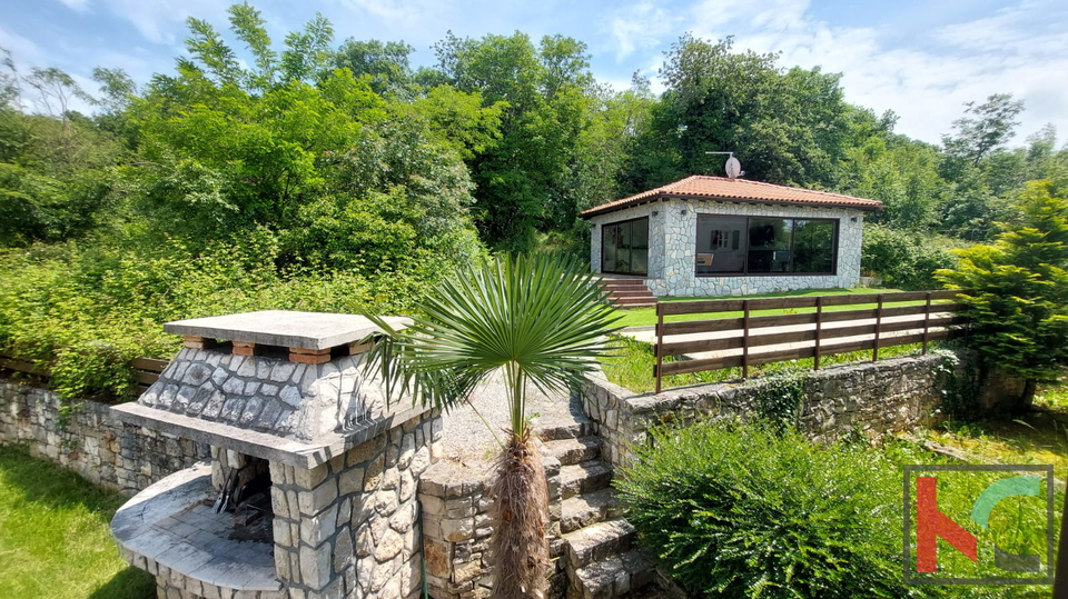 ISTRA, TINJAN,  KAMENA VILA SA BAZENOM, # PRODAJA