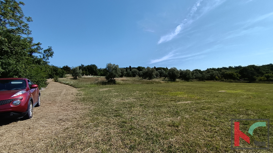 ISTRA, OKOLICA ROVINJA, VIKENDICA S VELIKIM ZEMLJIŠTEM U BLIZINI MORA, #PRODAJA