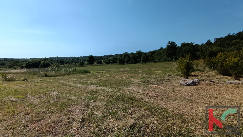 ISTRA, OKOLICA ROVINJA, VIKENDICA S VELIKIM ZEMLJIŠTEM U BLIZINI MORA, #PRODAJA