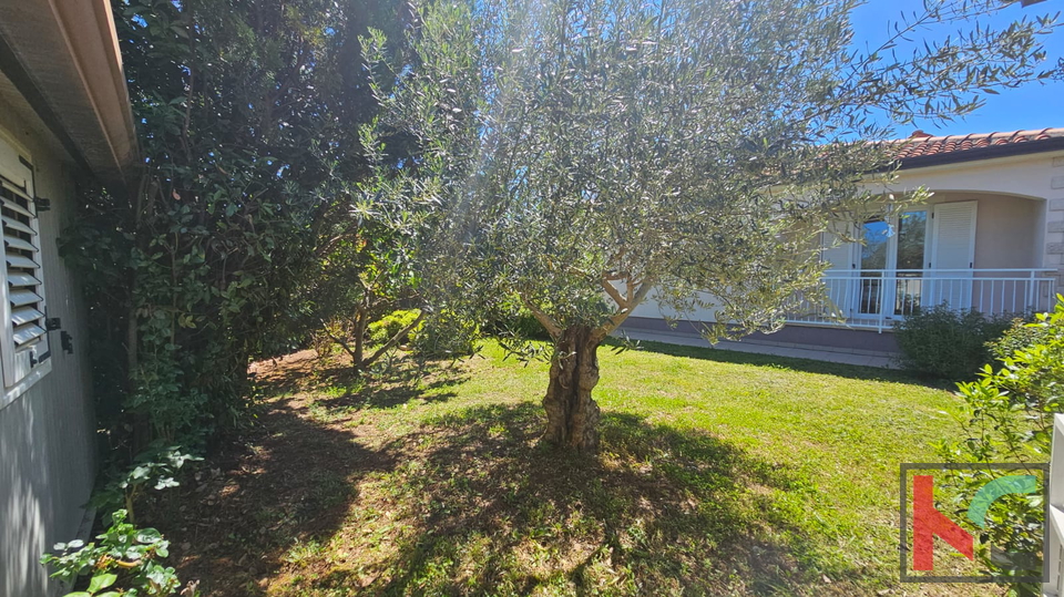 Istria, Sveti Lovreč, house with swimming pool and garden, quiet location, EXCLUSIVE SALE, #sale