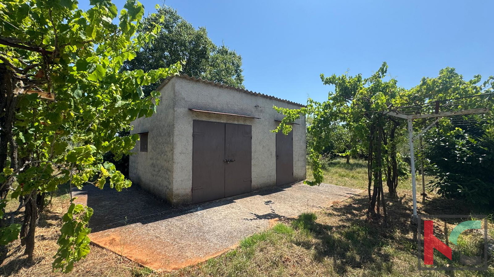 ISTRA, PULA, LEGALIZIRANA VIKENDICA NA MASLINIKU
