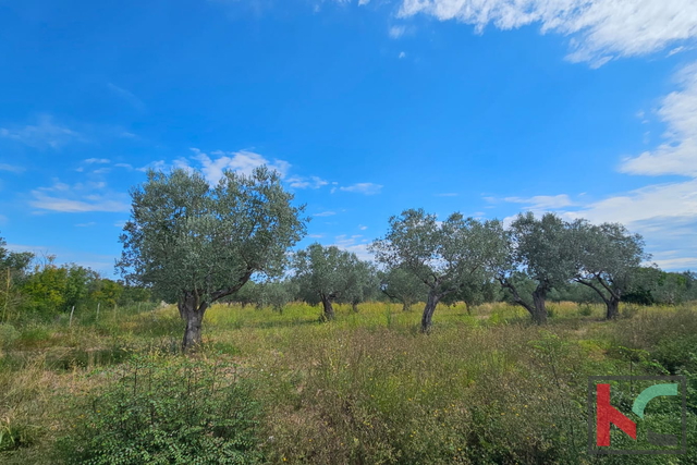Terreno, 3630 m2, Vendita, Fažana