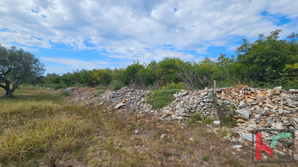ISTRA&comma; FA&Zcaron;ANA&comma; POLJOPRIVREDNO ZEMLJI&Scaron;TE SA MASLINAMA&comma; &num;PRODAJA