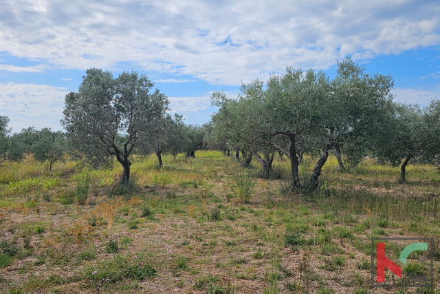 Terreno, 3630 m2, Vendita, Fažana