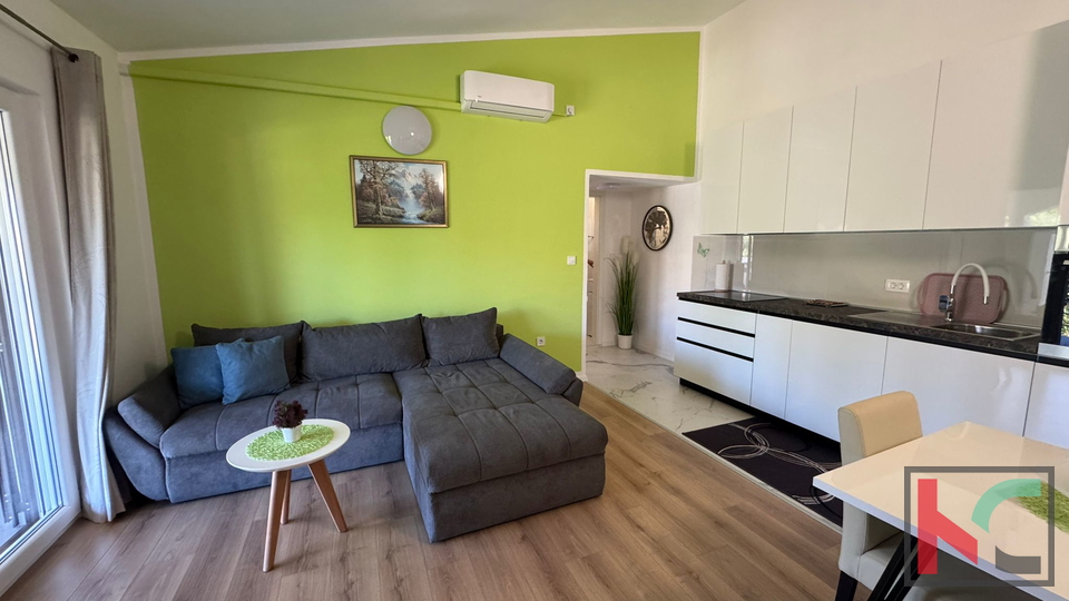 ISTRA, NOVA VAS, KUĆA SA 5  STAMBENIH JEDINICA I BAZENOM #PRODAJA