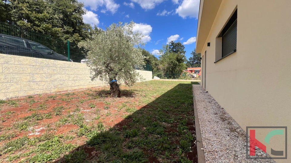 ISTRA, ŽMINJ, MODERNA PRIZEMNICA S BAZENOM #PRODAJA