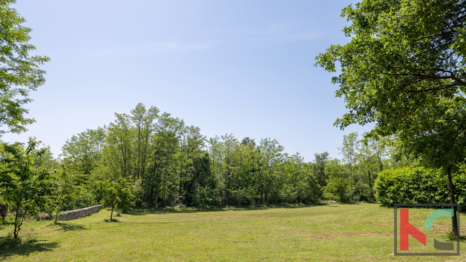 ISTRA, LABIN - KUĆA NA IMANJU OD 9400 m2, #PRODAJA