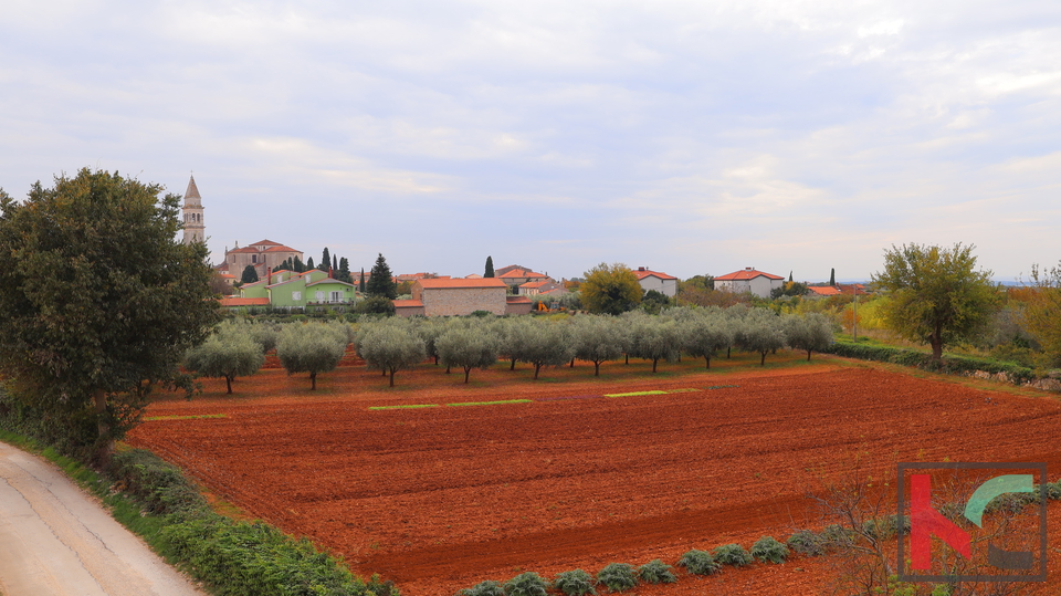 ISTRA - VODNJAN, ATRAKTIVAN STAN SA PANORAMSKIM POGLEDOM NA MORE I BRIJUNE # EKSKLUZIVNA PONUDA