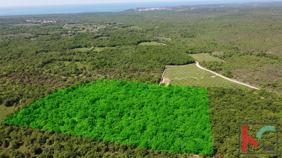 ISTRA - VODNJAN,  ZEMLJIŠTE  18.775m2, #PRODAJA