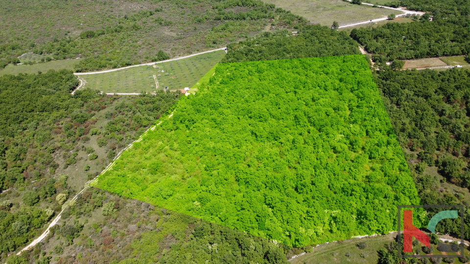 ISTRA - VODNJAN,  ZEMLJIŠTE  18.775m2, #PRODAJA