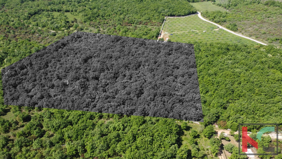 ISTRA - VODNJAN,  ZEMLJIŠTE  18.775m2, #PRODAJA