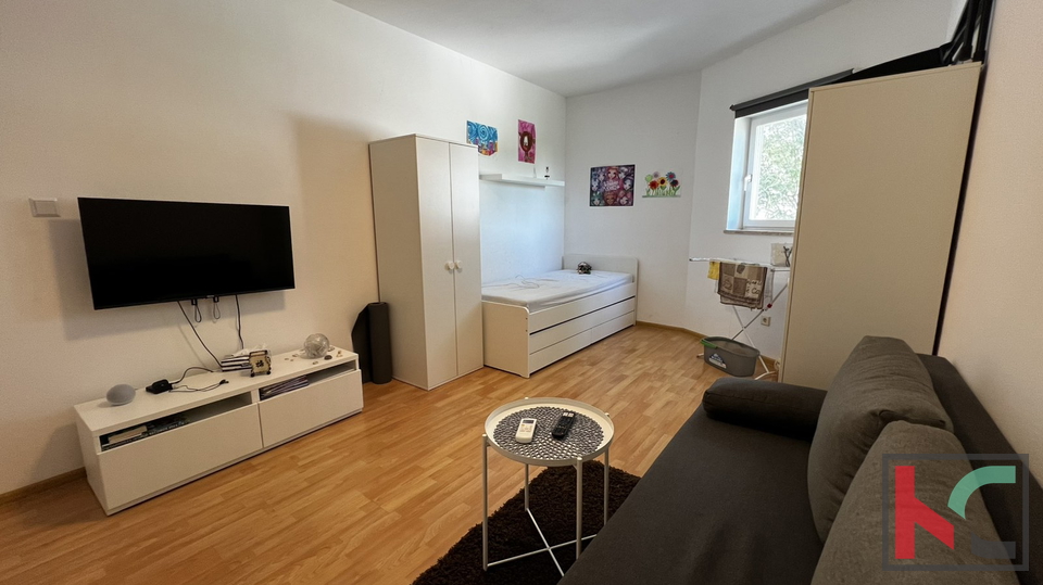 ISTRA&comma; &Scaron;TINJAN&comma; 1SS&plus;DB&comma; PRVI KAT &num;PRODAJA