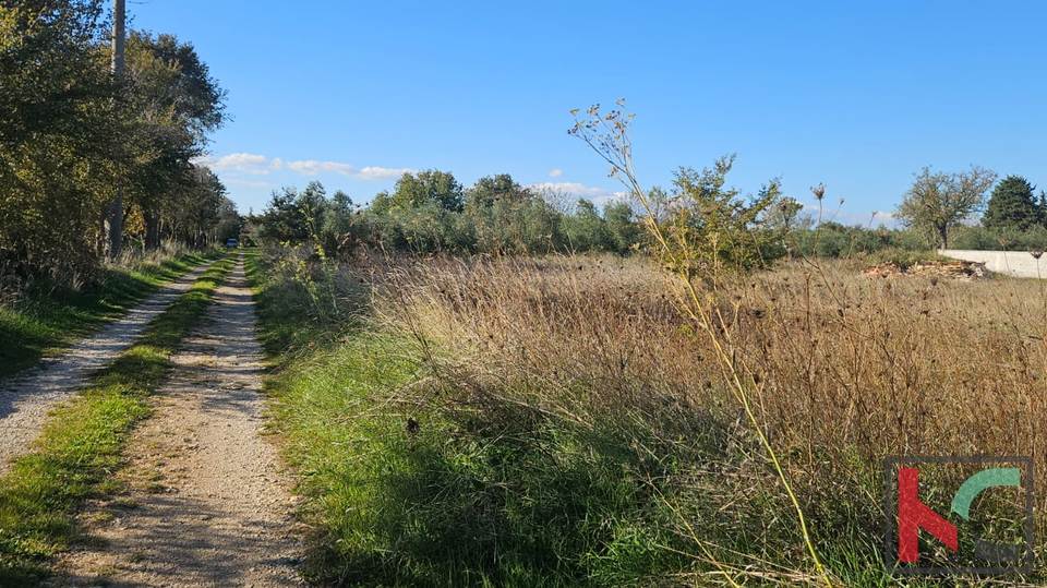 Zemlji&scaron;&ccaron;e&comma; 659 m2&comma; Prodaja&comma; Vodnjan
