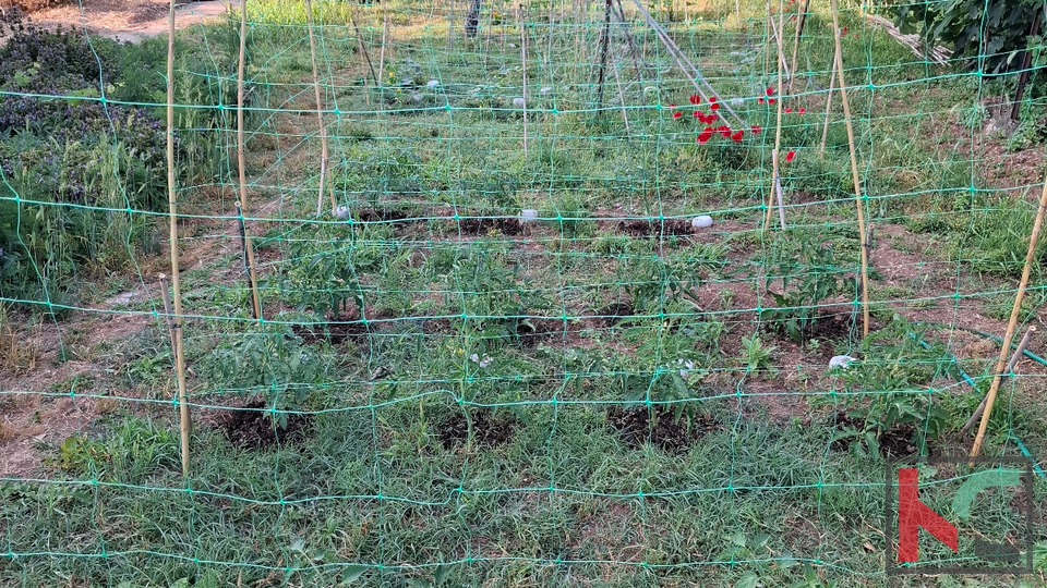 PULA&comma; VERUDA&comma; STAN 81&comma;39m2 SA VRTOM U POSJEDU&comma; &num;PRODAJA