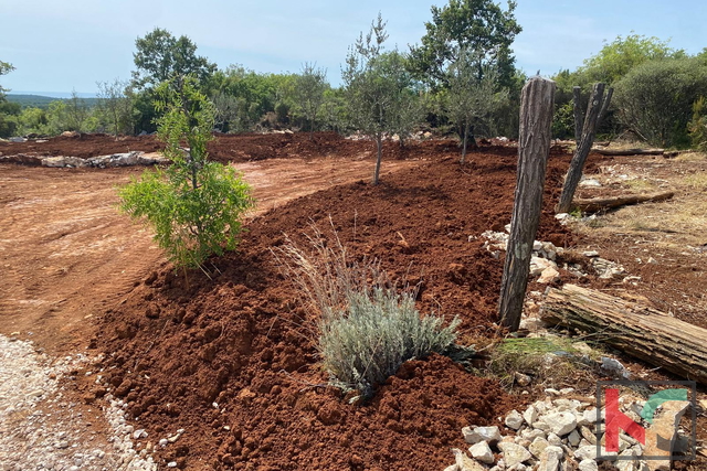 Land, 493 m2, For Sale, Bale