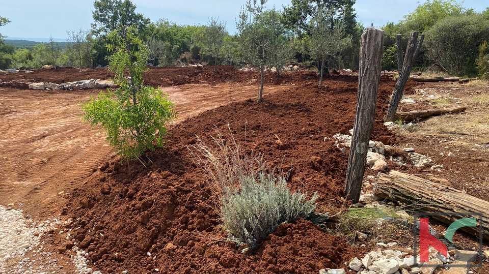 Zemlji&scaron;&ccaron;e&comma; 493 m2&comma; Prodaja&comma; Bale