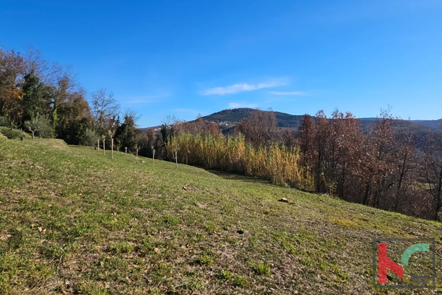 MOTOVUN, BRKAČ, URBANIZIRANO ZEMLJIŠTE SA  POGLEDOM NA PRIRODU,  1965M2 #PRODAJA