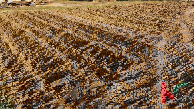 MOTOVUN&comma; BRKA&Ccaron;&comma; URBANIZIRANO ZEMLJI&Scaron;TE SA POGLEDOM NA MOTOVUN 697M2 &num;PRODAJA