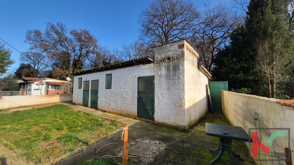 FA&Zcaron;ANA&comma; VALBANDON&comma; SAMOSTOJE&Cacute;A PRIZEMNICA  &num;PRODAJA