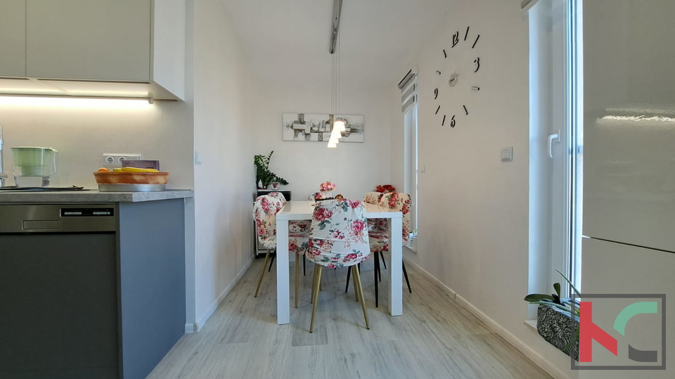 PULA&comma; &Scaron;IJANA&comma; VRHUNSKI RENOVIRAN DVOSOBAN STAN&num;PRODAJA