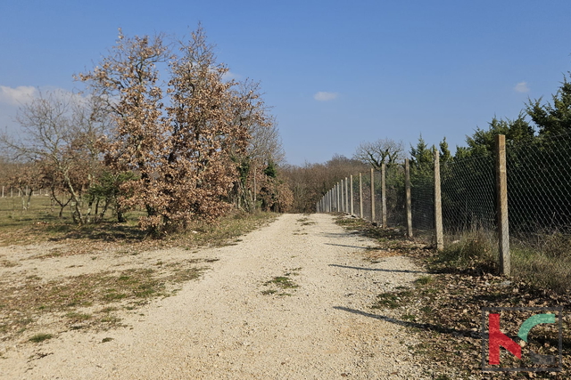 Zemljišče, 27300 m2, Prodaja, Svetvinčenat - Smoljanci
