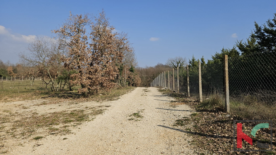 Terreno&comma; 27300 m2&comma; Vendita&comma; Svetvin&ccaron;enat - Smoljanci