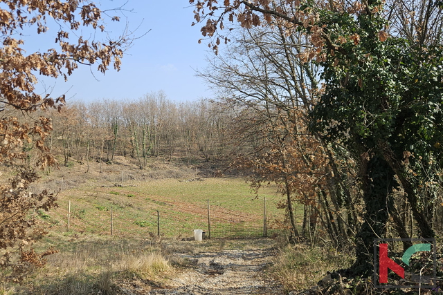 Zemljišče, 27300 m2, Prodaja, Svetvinčenat - Smoljanci