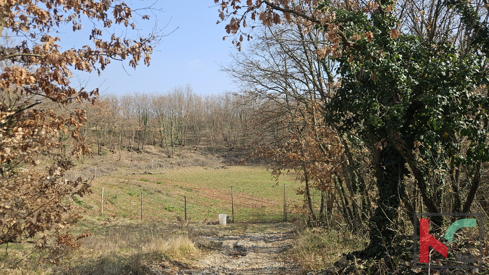 Terreno&comma; 27300 m2&comma; Vendita&comma; Svetvin&ccaron;enat - Smoljanci