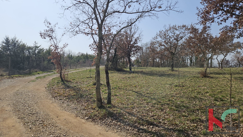 Terreno&comma; 27300 m2&comma; Vendita&comma; Svetvin&ccaron;enat - Smoljanci