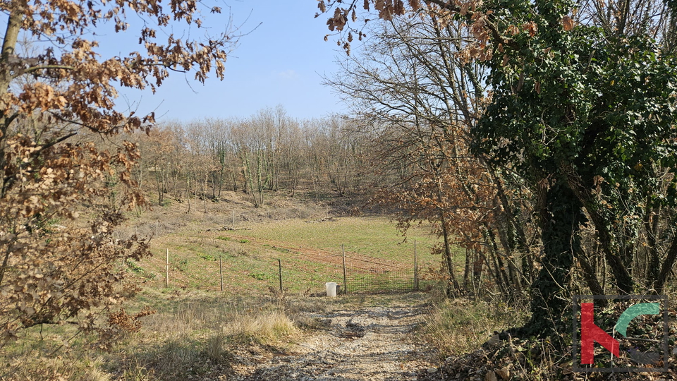 Terreno&comma; 27300 m2&comma; Vendita&comma; Svetvin&ccaron;enat - Smoljanci