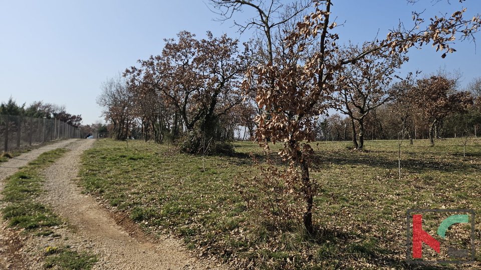 Terreno&comma; 27300 m2&comma; Vendita&comma; Svetvin&ccaron;enat - Smoljanci