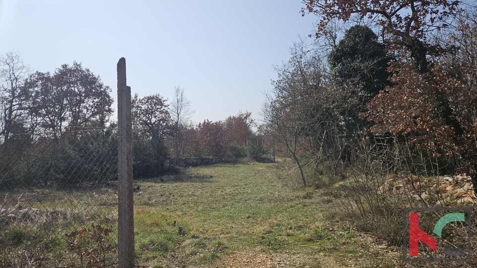 Terreno&comma; 27300 m2&comma; Vendita&comma; Svetvin&ccaron;enat - Smoljanci