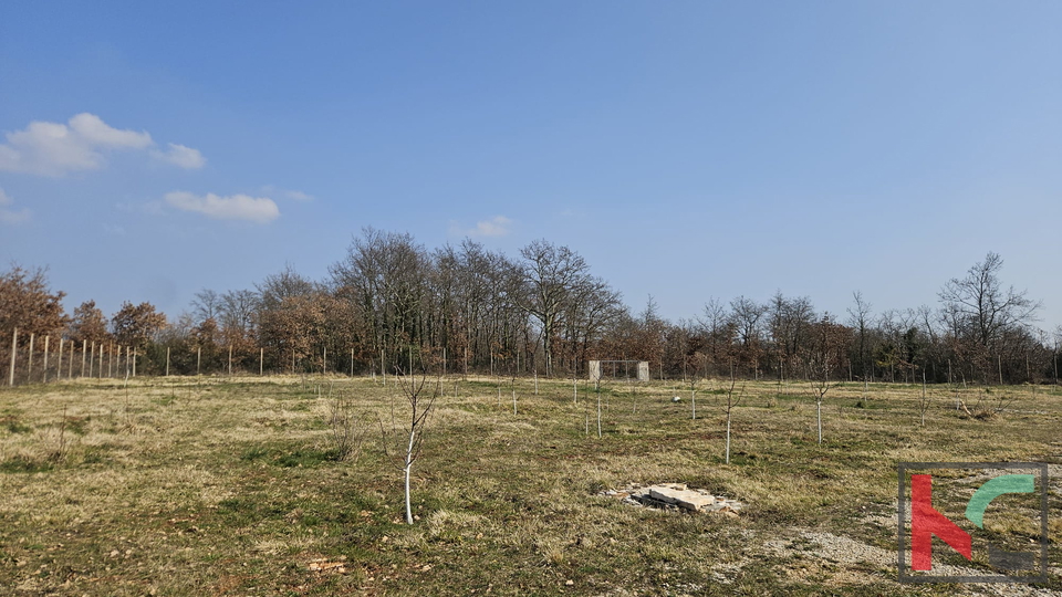 Terreno&comma; 27300 m2&comma; Vendita&comma; Svetvin&ccaron;enat - Smoljanci