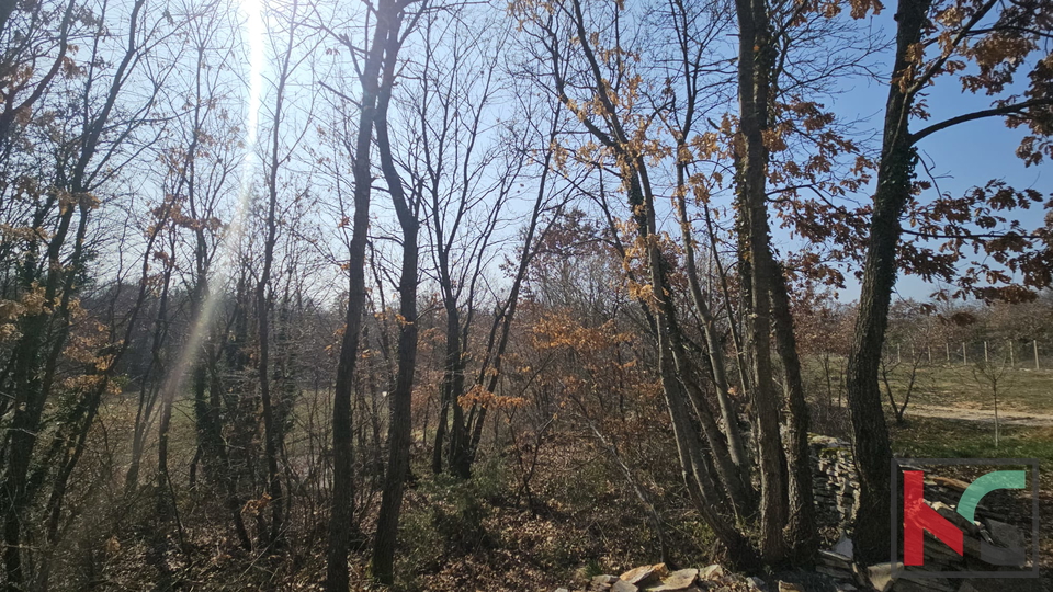 Terreno&comma; 27300 m2&comma; Vendita&comma; Svetvin&ccaron;enat - Smoljanci