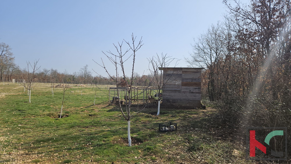 Terreno&comma; 27300 m2&comma; Vendita&comma; Svetvin&ccaron;enat - Smoljanci