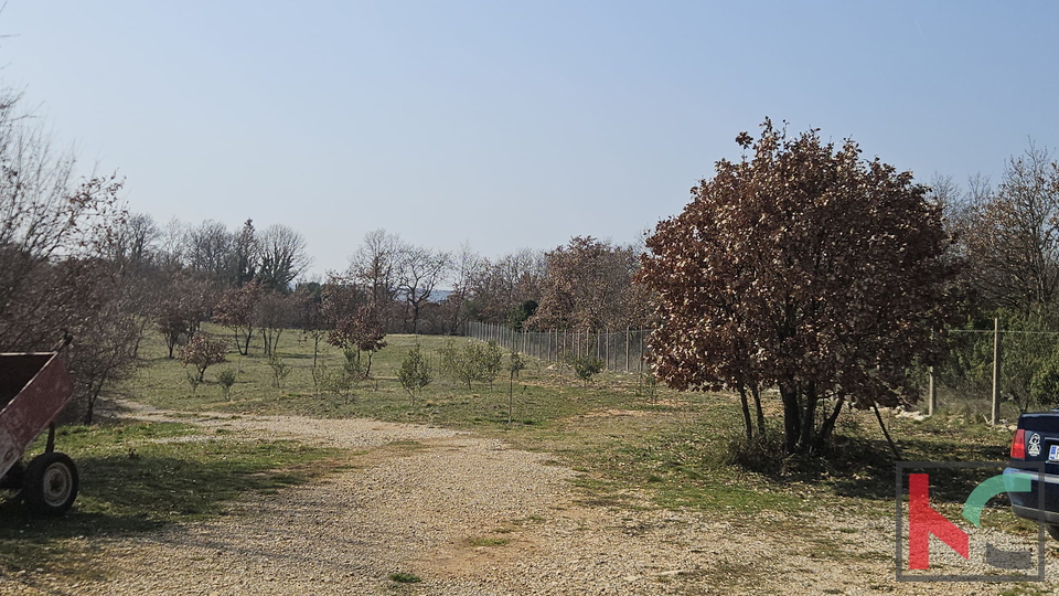 Terreno&comma; 27300 m2&comma; Vendita&comma; Svetvin&ccaron;enat - Smoljanci
