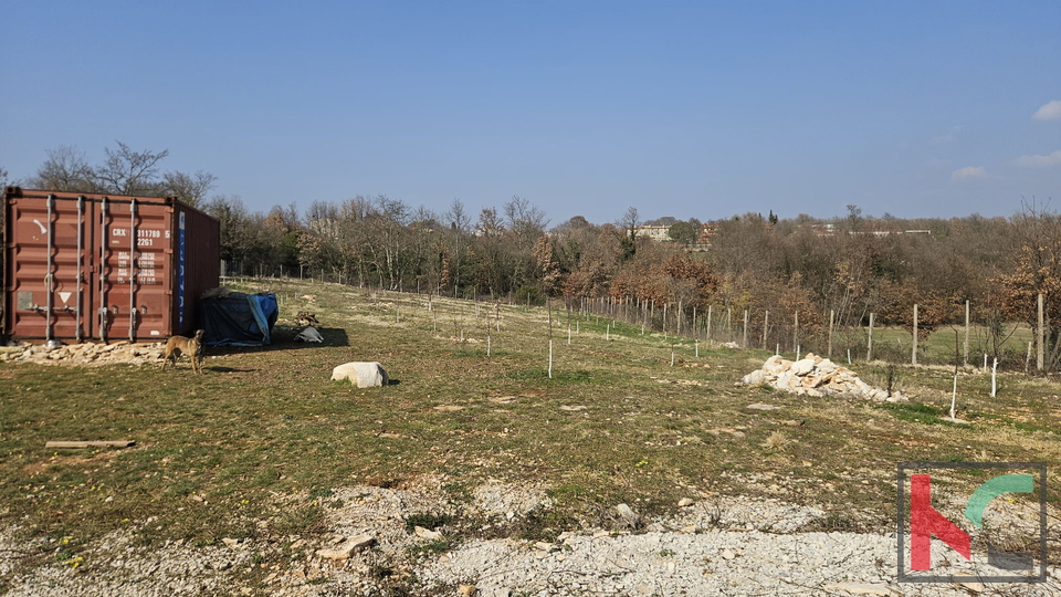 Terreno&comma; 27300 m2&comma; Vendita&comma; Svetvin&ccaron;enat - Smoljanci