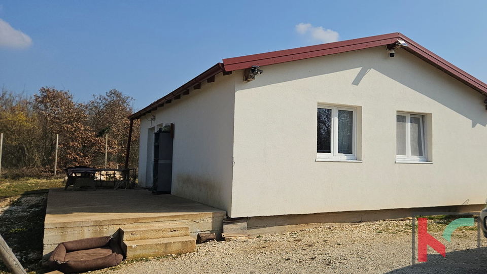 Terreno&comma; 27300 m2&comma; Vendita&comma; Svetvin&ccaron;enat - Smoljanci