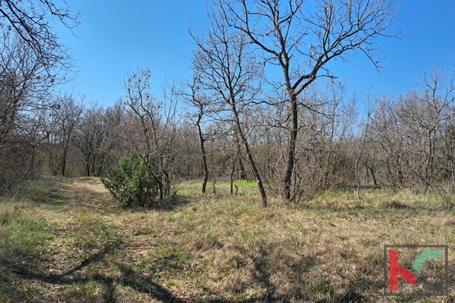 ISTRA, MARČANA, POLJOPRIVREDNO ZEMLJIŠTE #PRODAJA