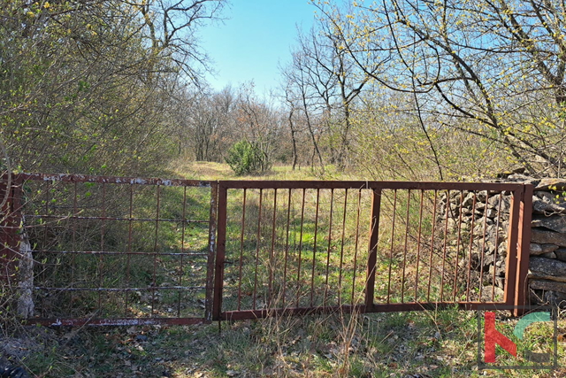 ISTRA, MARČANA, POLJOPRIVREDNO ZEMLJIŠTE #PRODAJA