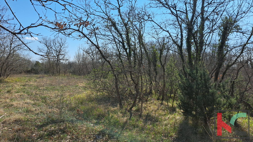 ISTRA&comma; MAR&Ccaron;ANA&comma; TERRENO AGRICOLO &num;VENDITA